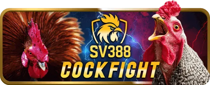 Chọn sảnh đá gà ZM88 WIN