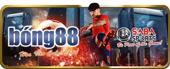 Đặt cược và theo dõi ZM88 WIN